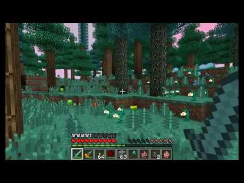 how to turn biomes o plenty on a server