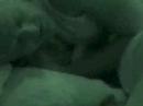 BB7 Erika & Boogie in bed pt 3