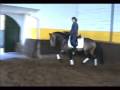 videos de Lusitano-anna