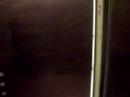 Carson Pirie Scott Elevator (Woodmar Mall)