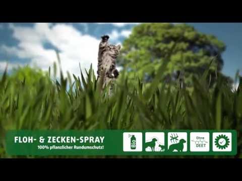 Gardigo Haustier Floh- und Zeckenspray - natürlicher Flohschutz und Zeckenschutz für Katze und Hund