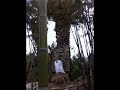 Click here to watch this video garden safari