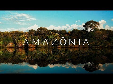 Viagem pela Floresta Amazônica