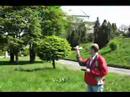 Silverlit R/C Single Wing Plane