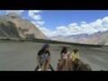 Nubra Valley - Hunder, Leh - Ladakh, India