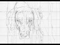 How To Draw A Dog How To Draw A Dog