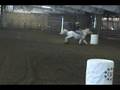 videos de Barrel Racing Arabians