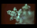 Der Austro Wasserkristall von Dr Masaru Emoto