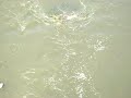 Rio Choluteca 09 A