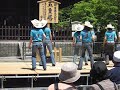 country line dance Quirky