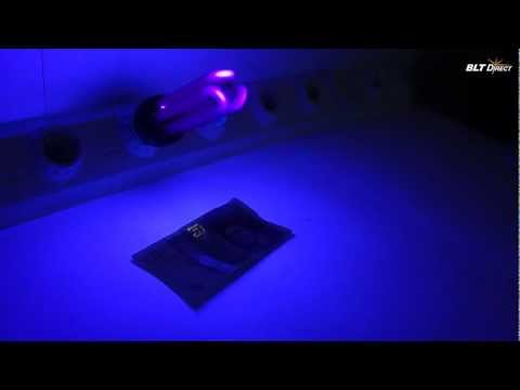 Energy Saving Blacklight 25 Watt BC & ES