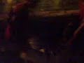 3 animale si un copilash