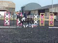 Nebo Stripe at show 2