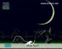 Novedades Consola virtual de WII en España 11-05-07 Novedades Consola virtual de WII en España 11-05-07
