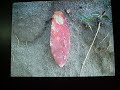 surface finds
