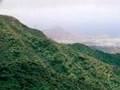 Hawaii Loa Ridge Hike. IZ. Israel Kamakawiwo'ole. Hawaii.