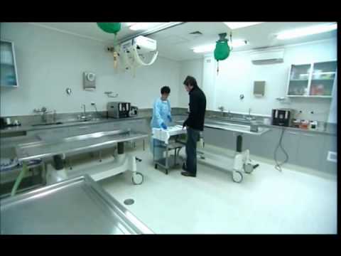 embalming - 20/20 article on Embalming in New Zealand. Used with permission.