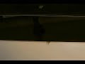 Velodrome IV WMV V9