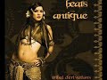 Bekijk muziek clip van Beats Antique met Trinkit