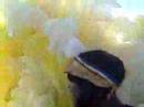 Mardi Gras Indians 12 Mardi Gras Indians 12