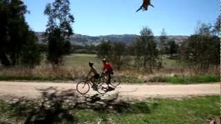Great Victorian Rail Trail