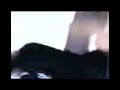 Lolazo - 7