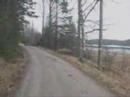 Road Movie