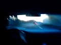 MOV04017.3GP