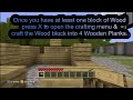 Minecraft video