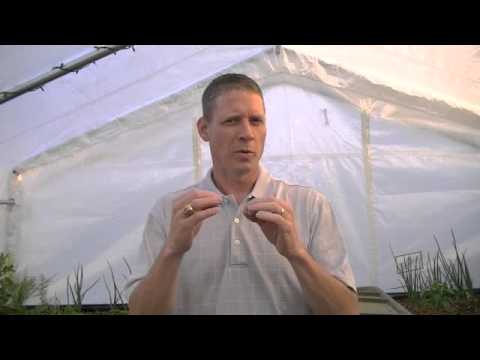 food system - Get ready to learn how to build a great looking and fully functional aquaponics system for your home or backyard! Learn More: http://shop.endlessfoodsystems....