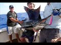 TROPIC ANGLER LURES TA PEANUT Troll 2009 22.11.2008.wmv TROPIC ANGLER LURES TA PEANUT Troll 2009 22.11.2008.wmv