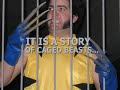 Leaked Wolverine movie trailer