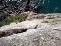 SALTO LAGO PUELO