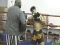 cung le