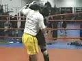 cung le