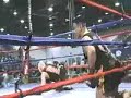 cung le