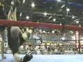 cung le