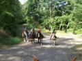 Paardentocht Cheval en Etoile...