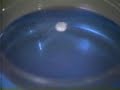 Sodium and potassium in water