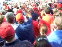 Rebels In The Grove