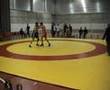 Gerardo Bravo - Rouslan Aliev 86 Kg Lucha grecorromana