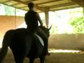 videos de reprise dressage