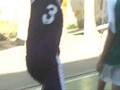 videos de equipe bleu gooool Alex Navarro