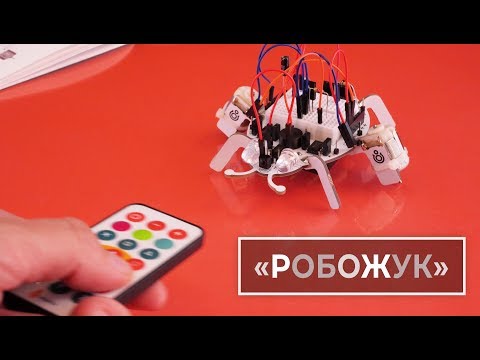 Робототехнический набор Робожук