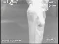 Fart gas caught on airport infra-red security camera