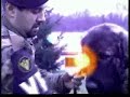 Army dog training (Croatia) Part 3