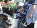 Buschart Gardens