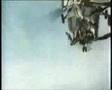 Hymn of Soviet Union