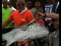 Trailer Monster Alor !