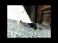 CSS - jumpshots by vincent